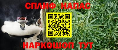 PSILOCYBIN Новозыбков